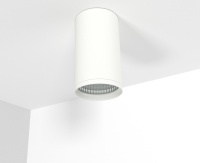 Потолочный светильник interiorlight Roller CL001-W